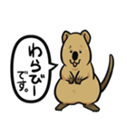 日常系クアッカワラビー（個別スタンプ：36）