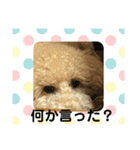 めるのスタンプ第二弾（個別スタンプ：6）