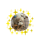 めるのスタンプ第二弾（個別スタンプ：7）