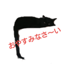 黒neco（個別スタンプ：2）