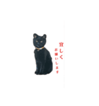 黒neco（個別スタンプ：5）