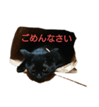 黒neco（個別スタンプ：7）