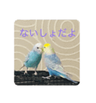 レオアリまいにち（個別スタンプ：3）