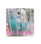 レオアリまいにち（個別スタンプ：7）