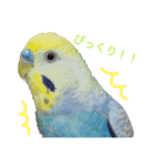 レオアリまいにち（個別スタンプ：8）