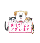 tenkuumaru*（個別スタンプ：1）