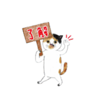 tenkuumaru*（個別スタンプ：14）