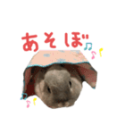 うちのもち三（個別スタンプ：18）