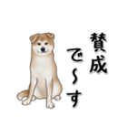 動く！秋田犬Ⅱ（個別スタンプ：6）