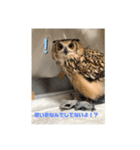 ベンガルワシミミズクのつくお（個別スタンプ：8）