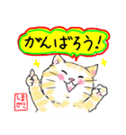 しまゼミ猫スタンプ パート2（個別スタンプ：23）