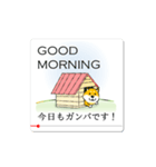 激しく尻尾をふるイヌ 【柴犬の一日】（個別スタンプ：1）