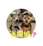 迷探偵るるあぢゅ（個別スタンプ：1）