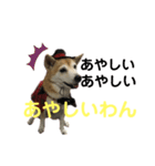 迷探偵るるあぢゅ（個別スタンプ：2）