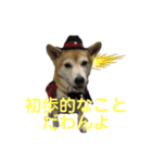 迷探偵るるあぢゅ（個別スタンプ：4）