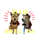 迷探偵るるあぢゅ（個別スタンプ：10）