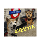 迷探偵るるあぢゅ（個別スタンプ：11）