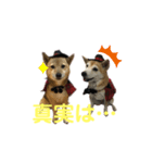 迷探偵るるあぢゅ（個別スタンプ：12）