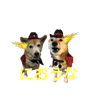 迷探偵るるあぢゅ（個別スタンプ：13）