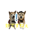 迷探偵るるあぢゅ（個別スタンプ：15）
