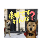 迷探偵るるあぢゅ（個別スタンプ：16）