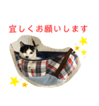 トラチワちゃん♪（個別スタンプ：4）