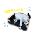 トラチワちゃん♪（個別スタンプ：7）