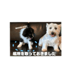 ボーダーレーン・グレイスwithモニカ（個別スタンプ：22）