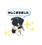 ボーダーレーン・グレイスwithモニカ（個別スタンプ：23）