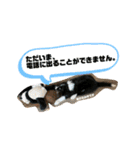 ボーダーレーン・グレイスwithモニカ（個別スタンプ：24）
