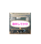 ボーダーレーン・グレイスwithモニカ（個別スタンプ：36）