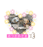 らっく＆れあの日常会話（個別スタンプ：1）