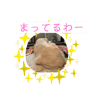 らっく＆れあの日常会話（個別スタンプ：3）