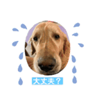 らっく＆れあの日常会話（個別スタンプ：4）