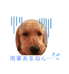 らっく＆れあの日常会話（個別スタンプ：7）