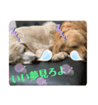 らっく＆れあの日常会話（個別スタンプ：11）