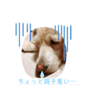 らっく＆れあの日常会話（個別スタンプ：12）