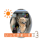 らっく＆れあの日常会話（個別スタンプ：14）
