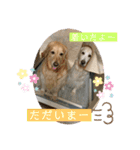 らっく＆れあの日常会話（個別スタンプ：15）