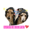 らっく＆れあの日常会話（個別スタンプ：16）