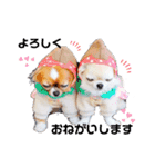 プラネルビsister's（個別スタンプ：1）