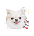 プラネルビsister's（個別スタンプ：3）