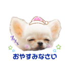 プラネルビsister's（個別スタンプ：8）