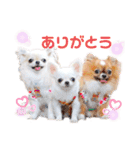 プラネルビsister's（個別スタンプ：9）