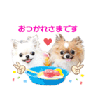 プラネルビsister's（個別スタンプ：17）