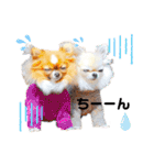 プラネルビsister's（個別スタンプ：21）