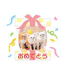 プラネルビsister's（個別スタンプ：24）