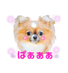 プラネルビsister's（個別スタンプ：25）