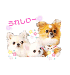 プラネルビsister's（個別スタンプ：26）