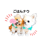 プラネルビsister's（個別スタンプ：30）